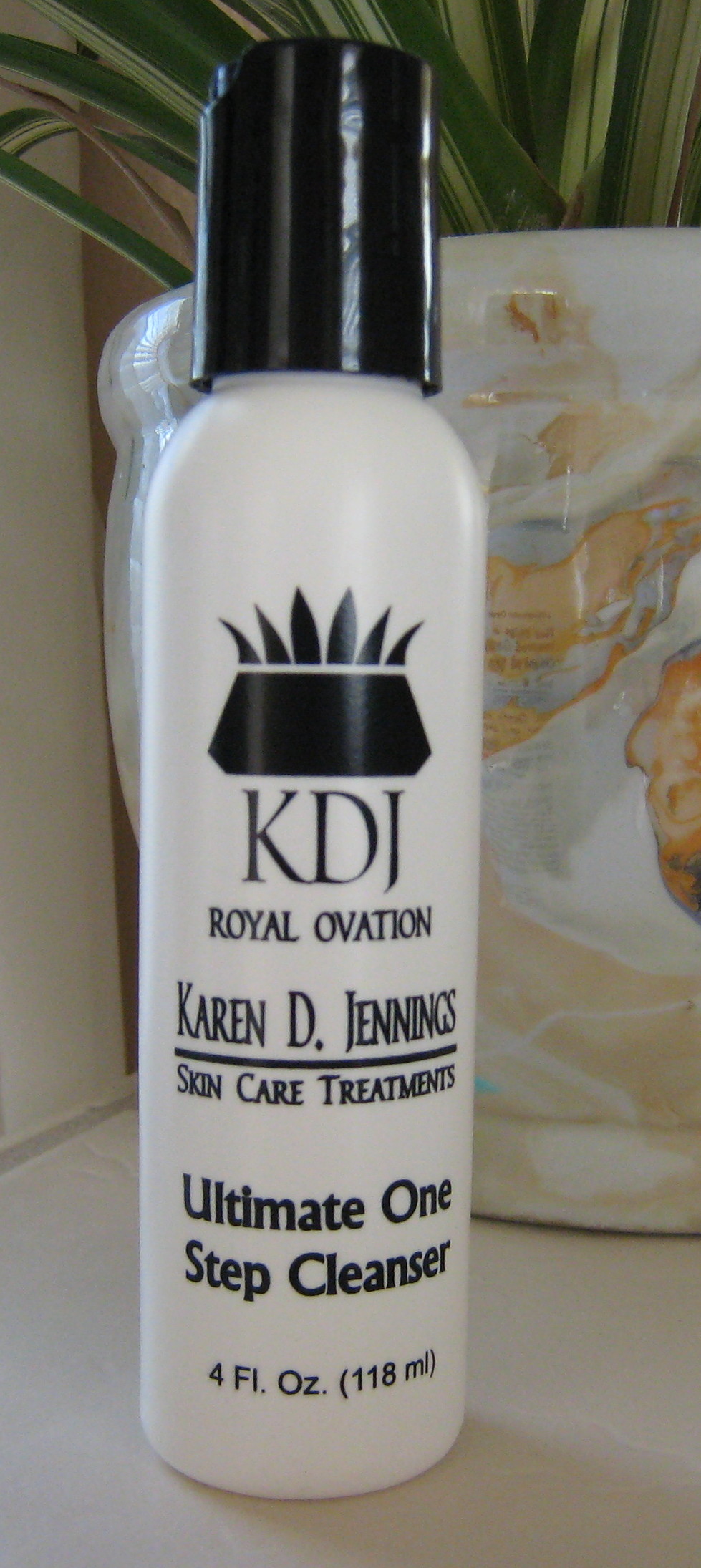 Cleanser.jpg (378458 bytes)
